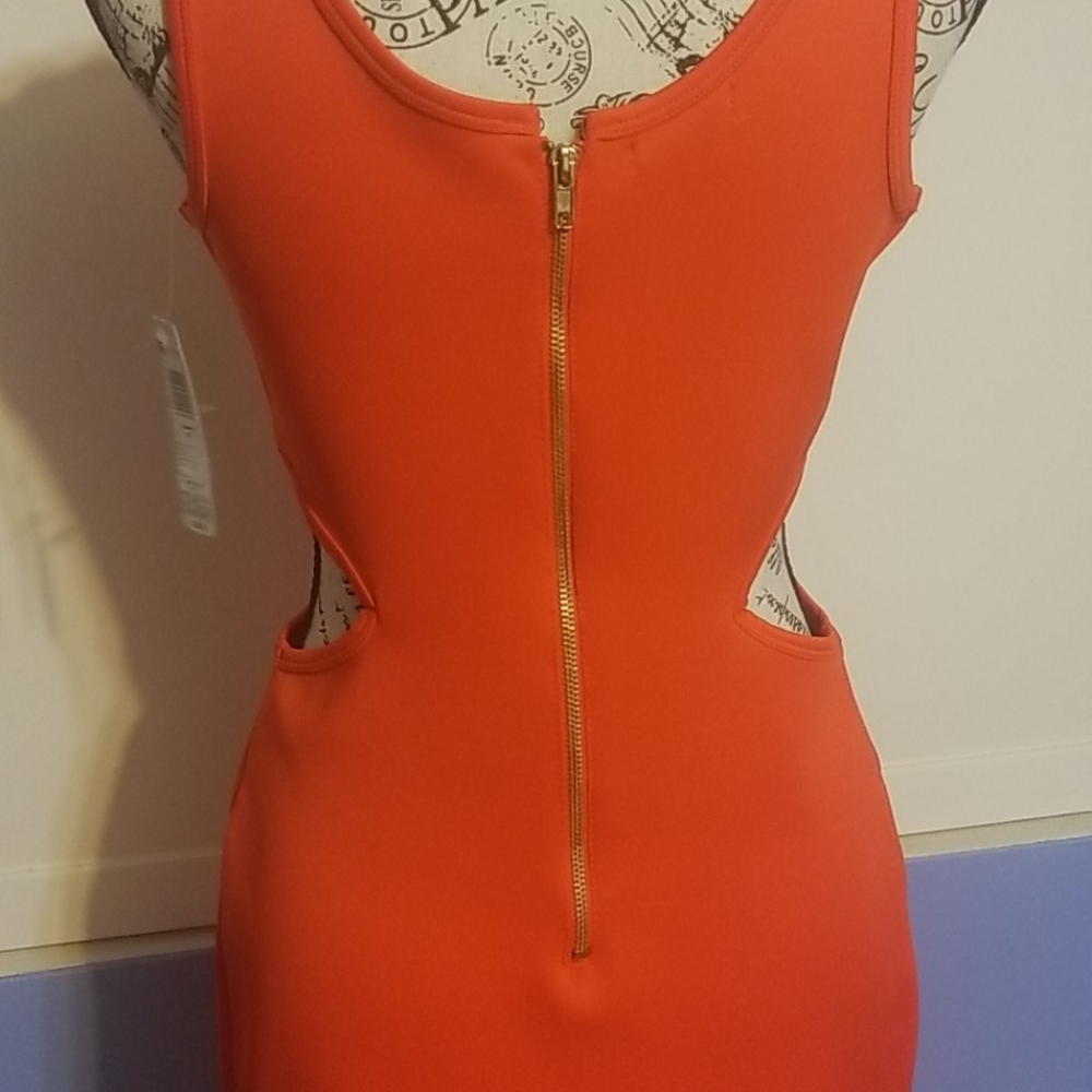 Dress - Picture 5 of 6